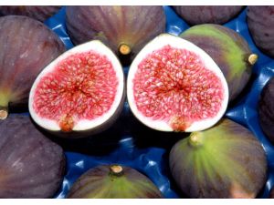 Kraliçenin Tanıtımı Siyah İncire Rekor Getirdi