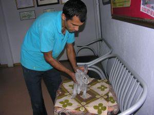 Yaralı Tavşana Mahalle Sakinleri Sahip Çıktı