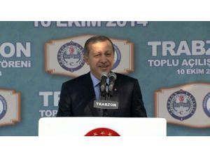 Sokak Serserileri...