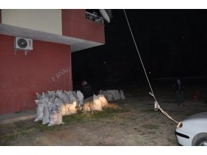 Vatandaşın İlginç Odun Taşıma Yöntemi