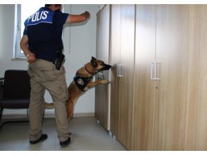 Narkotik Köpeği ‘Şila’ Karabük’te Uyuşturucuya Geçit Vermiyor