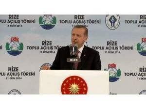 Ey Benim Kürt Kardeşlerim...