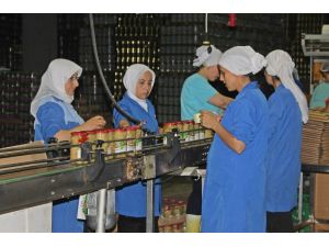 Yerli Turşunun Tadı Avrupayı Sardı...