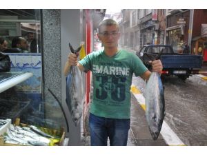 70 Tl’den Satılıyor