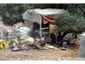 Çöpün İçerisinde Yaşam Mücadelesi