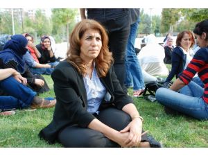 Dbp Diyarbakır İl Başkanı Zümrüt Açlık Grevine Başladı