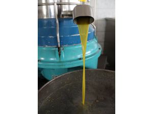 Zeytinyağı Fiyatları İkiye Katlandı