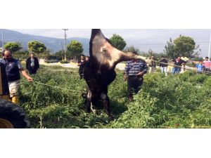 Bu Görüntüler Cezasız Kalmadı
