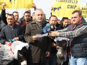 Chp Genel Merkezi Önünde İlginç Eylem