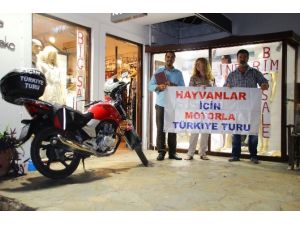 Sokak Hayvanları İçin Tam 6 Bin Kilometre