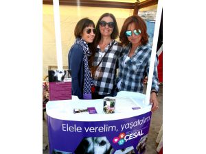 Çeşmede Her Şey Sokak Hayvanları İçin