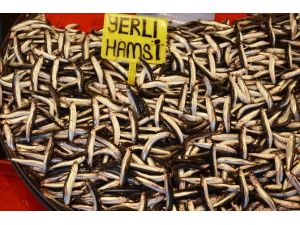 Marmara’da Hamsi Bolluğu