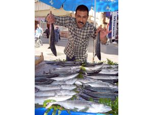 Edremitli Balıkçıların Yüzü Palamutla Gülüyor