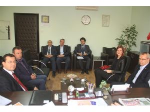 Orhangazide Zeytin Festivali