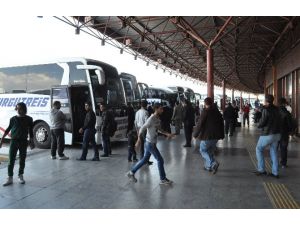 Otobüs Firmaları Bugünlerde Sinek Avlıyor
