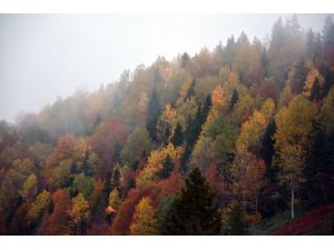 Karadeniz’de Sonbahar Bir Başka