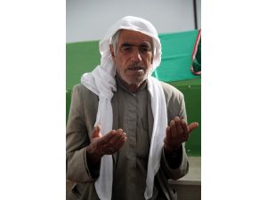 (Özel) Savaşın En Sessiz Tanıkları İçin Türbeyi Mesken Edindi