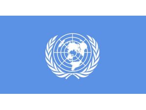 Türkiye Bmgk’ya Giremedi !