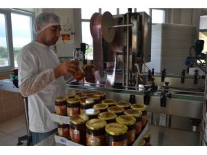 Balda Verim Düştü