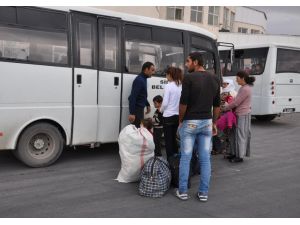 Kobaniden Kaçanlar Iraka Göç Ediyor