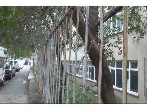 Öğrenciler Kaçmasın Diye Ağaçları Yağladılar