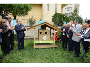 Kediler ‘Ev’lendi