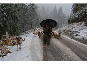 “Beyaz Esaret” Döndü