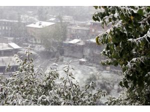 Hakkari Beyaza Büründü