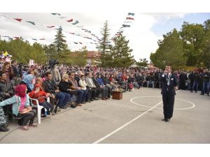 Bu Da Havuç Festivali