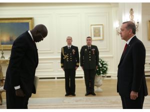 Cumhurbaşkanı Erdoğanın Kabulleri