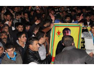 Hdp Parti Meclis Üyesinin Kardeşi Işid Tarafından Öldürüldü