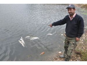 Kızılırmak’ta Korkutan Tablo