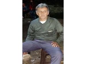Kestiği Ağacın Altında Kalarak Öldü