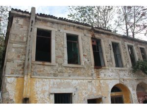 Metruk Binalar Balici Yuvası Oldu