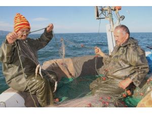 İşleri Yaşam Tarzları Olmuş