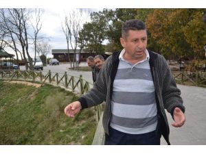Tekirdağda Korkutan Balık Ölümleri
