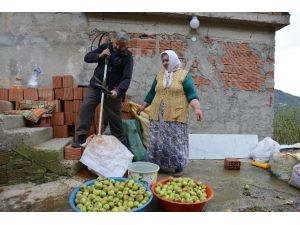 Karadenizli Zekası Yine Şaşırttı