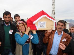 Anne Yüreği İşte