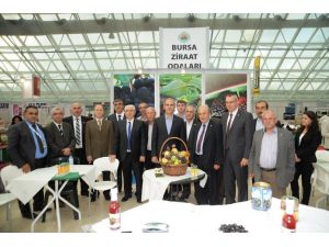 Başkan Altepe’den Bursalı Firmalara Destek