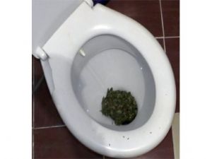 Klozetten Uyuşturucu Çıktı