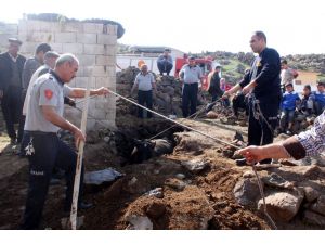 İtfaiye Kanalizasyona Düşen İneği Kurtarmak İçin Seferber Oldu