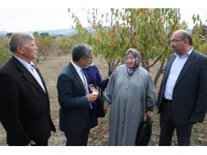 Başbakan’ı Rüyasında Görünce Bakın Ne Yaptı ?