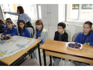 Çardak İlköğretim Okuluna İstanbullu Kardeş