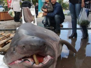Tam Tamına 673 Kilo