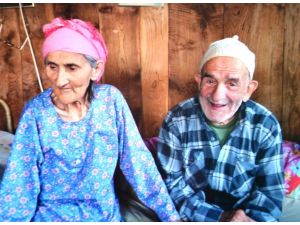 Ölüm Bile Onları Ayıramadı