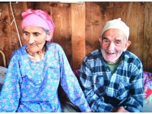 Ölüme Bile Birlikte Gittiler