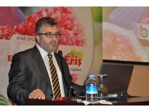 Müsiad, Bursa Siyah İncirini Mercek Altına Aldı