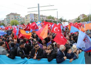 Başbakan Ahmet Davutoğlu: