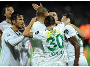 Timsah Hayat Buldu
