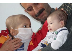 (Özel Haber) Lösemi Hastası Cengizhan’ın Umudu Kardeşi Oğuzhan
